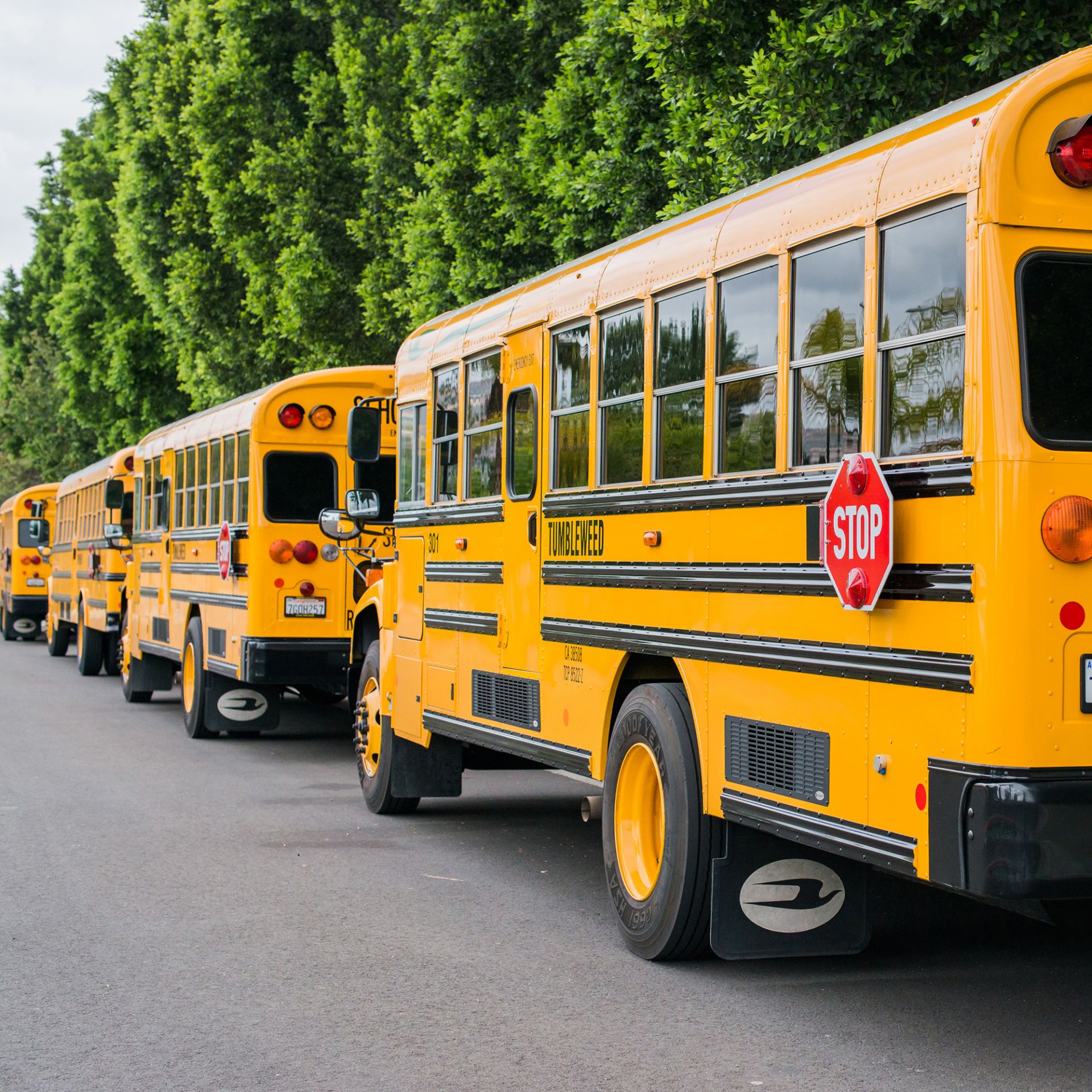 school transportation yellow bus