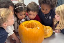 Pre-Kindergarten Celebrates the Fall Season